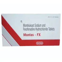Montas FX Tablet 10s