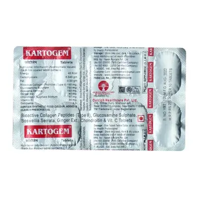 Kartogem Tablet 10s