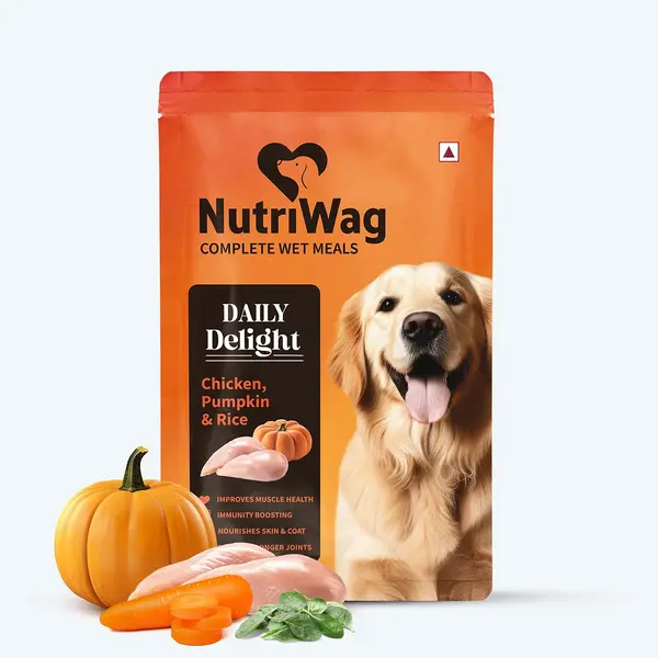 NutriWag Daily Delight Chicken Pumpkin & Rice Dog Wet Food 300 gm