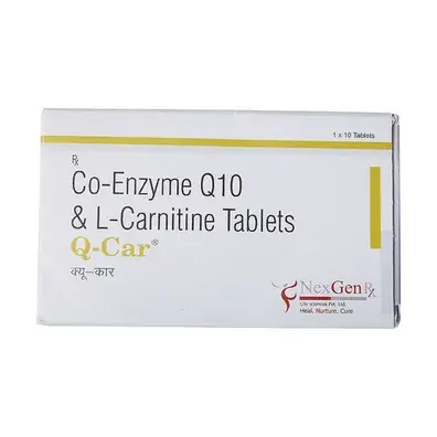 Q Car Tablet 10s